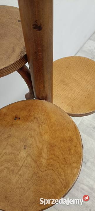 kwietnik model Thonet buk gięty design Kwietniki sprzedam