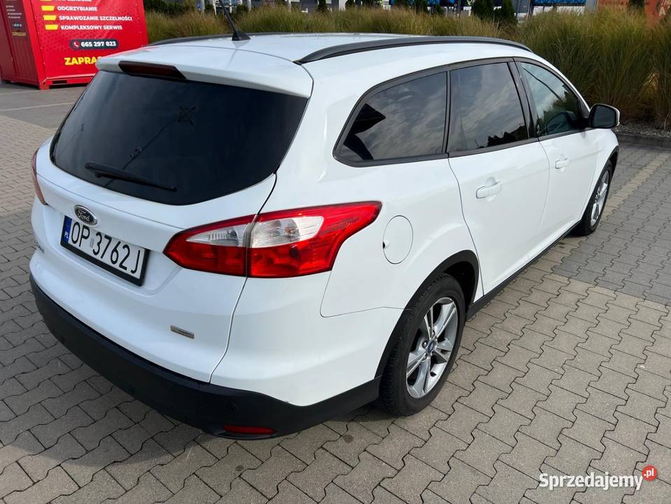 Ford Focus 10 Champion Edition Motoryzacja Opole