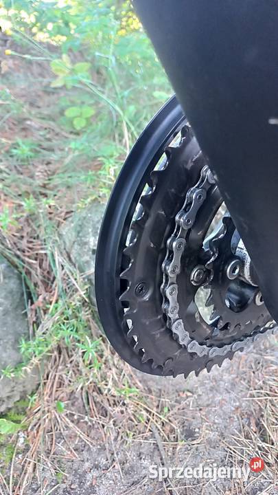 Alu Rower Miejski Damski Greens Blackness dolnośląskie