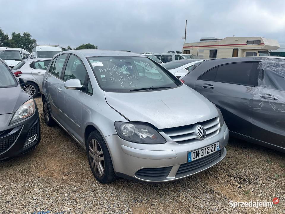 VOLKSWAGEN Golf Plus 1.9 TDi 105 DN312