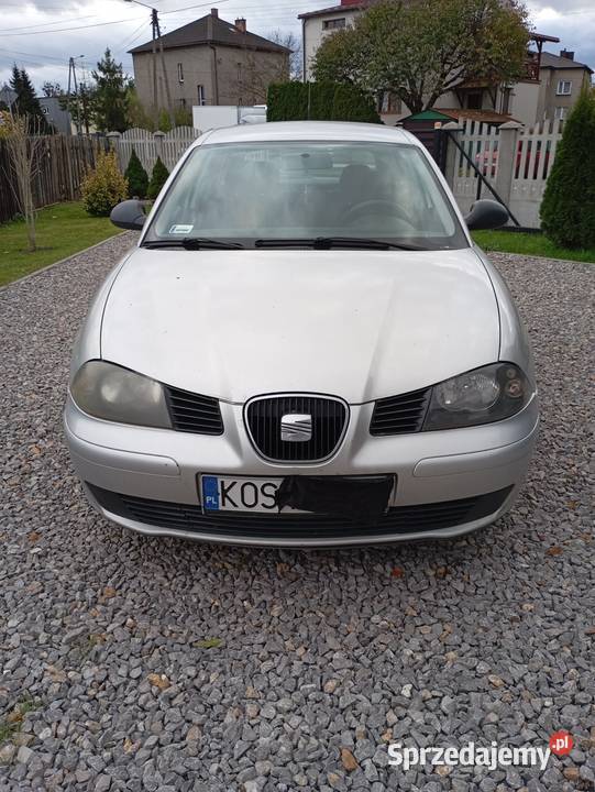 Seat Ibiza 2003 r srebrny