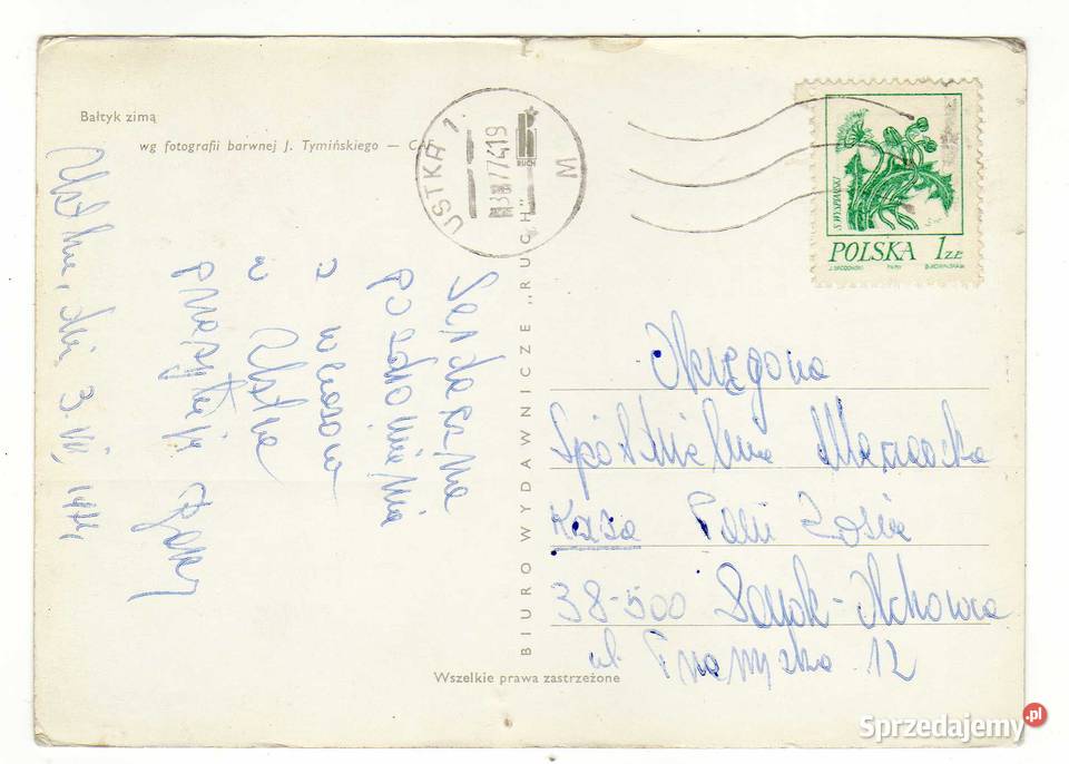 MORZE BAŁTYCKIE BAŁTYK ZIMĄ Krynki