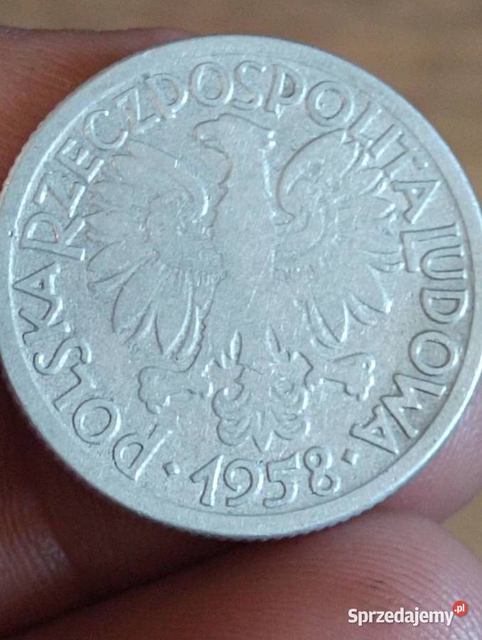 Sprzedam cb 2 zl 1958 r Numizmatyka Chełm