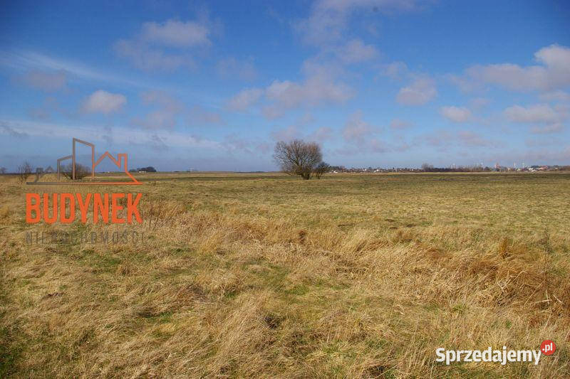 Działka rolna Domasławice