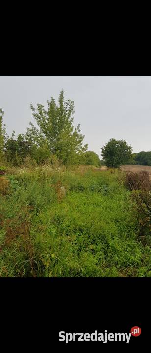 Działka 3200 m Ostrowiec Świętokrzyski Opatowska sprzedam