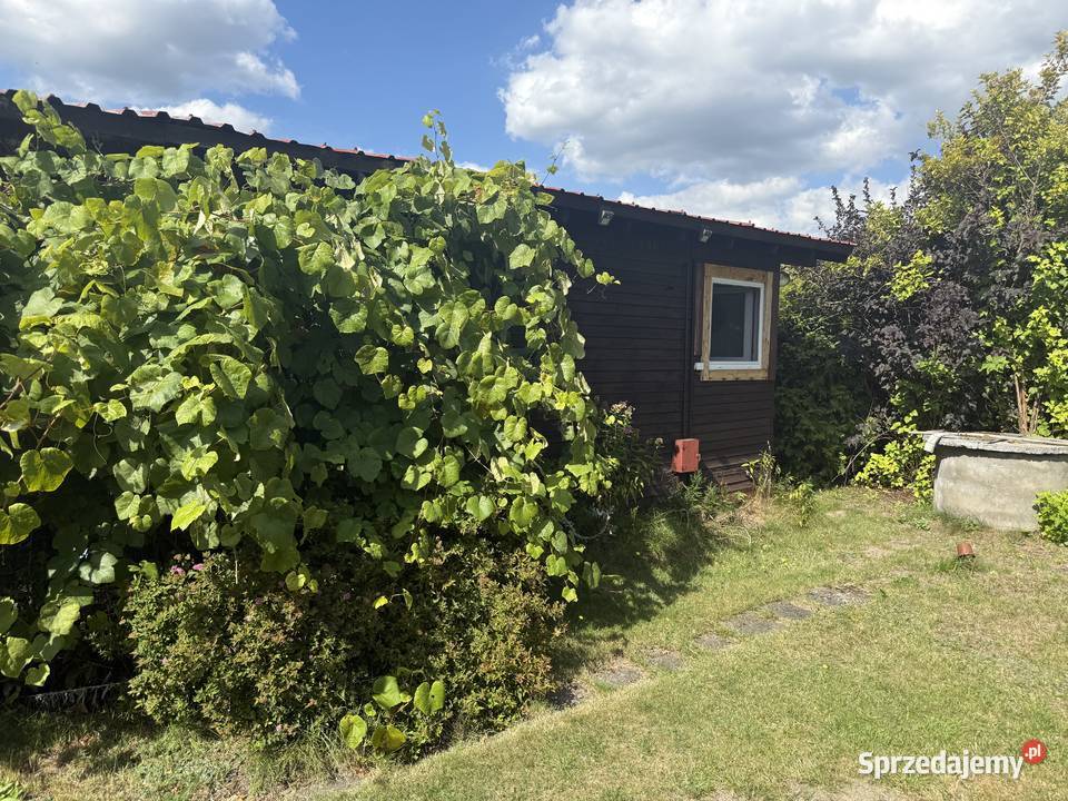 Działka ROD Nadliwie Łochów sprzedam