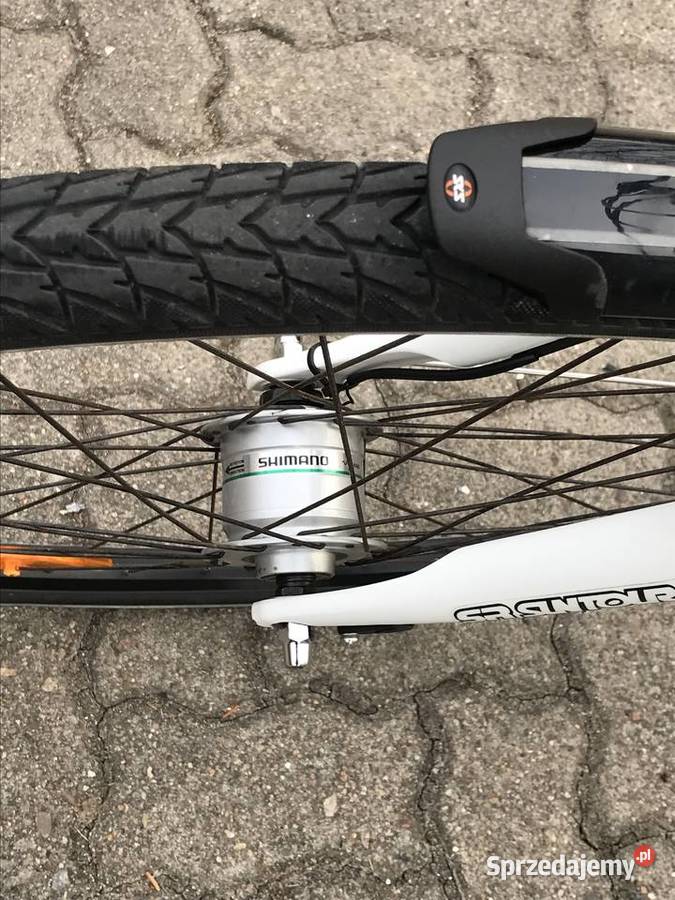 Rower Trekkingowy Pegasus Piazza Kranów