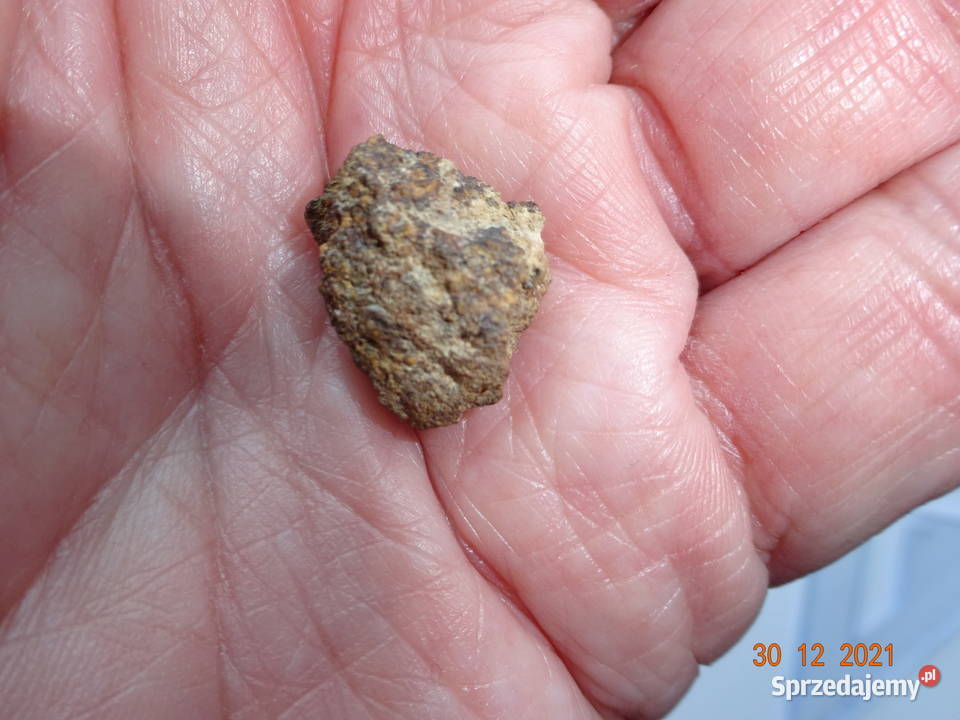 45 meteoryt Jiddat al Harasis 091 chondryt L6 Pozostałe Kolekcje Gorzów Wielkopolski sprzedam