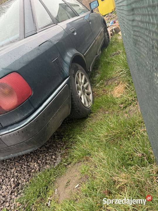 Sprzedam Audi 80 manualna Pokrzywnica