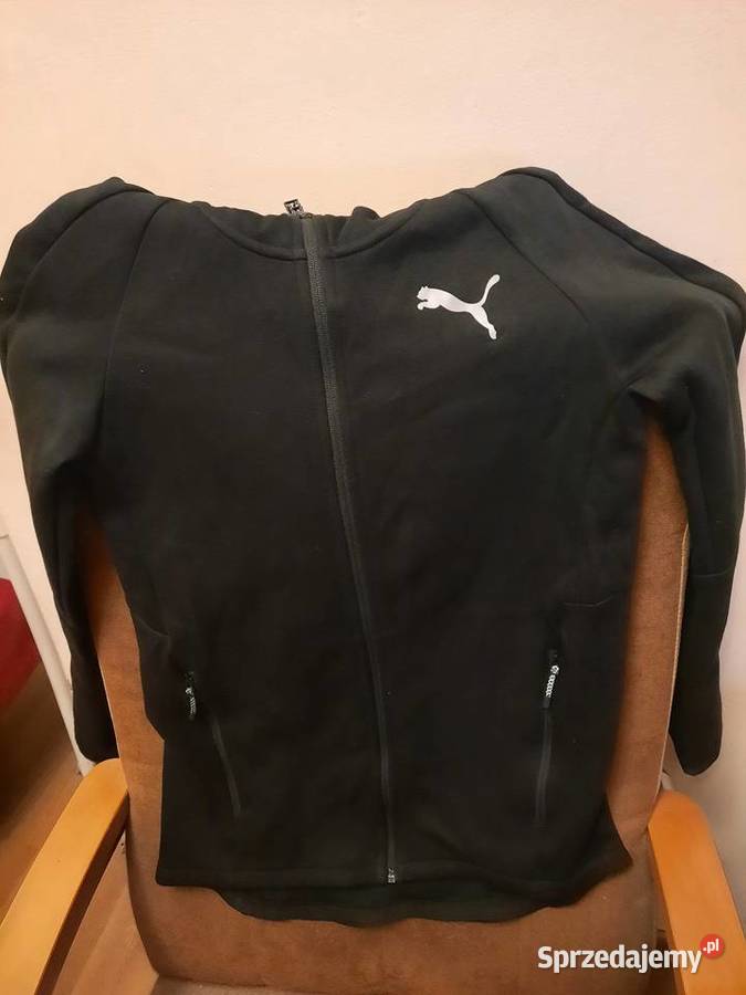 Bluza męska puma Warszawa