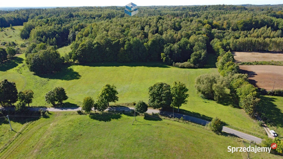 Do sprzedaży działka 126800m2 Niebrzydowo Niebrzydowo Wielkie