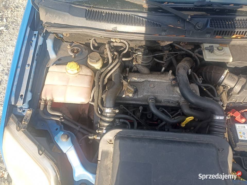 Ford Transit connect Transit Connect Złotnik