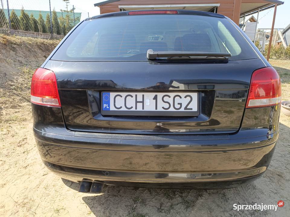 Audi a3 bls 19 tdi Chełmno sprzedam