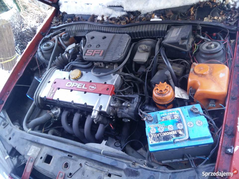 Calibra beżowa skóra BLENDA Zgierz