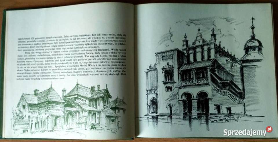 Piórkiem i węglem Piękno utracone Rzeszów