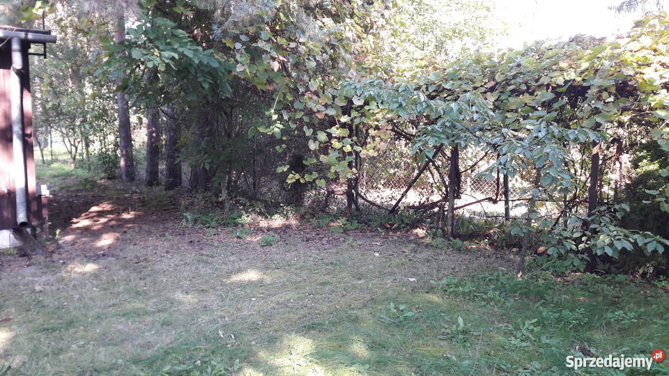 Działka z domkiem letniskowym 30 Warszawy Topolina sprzedam