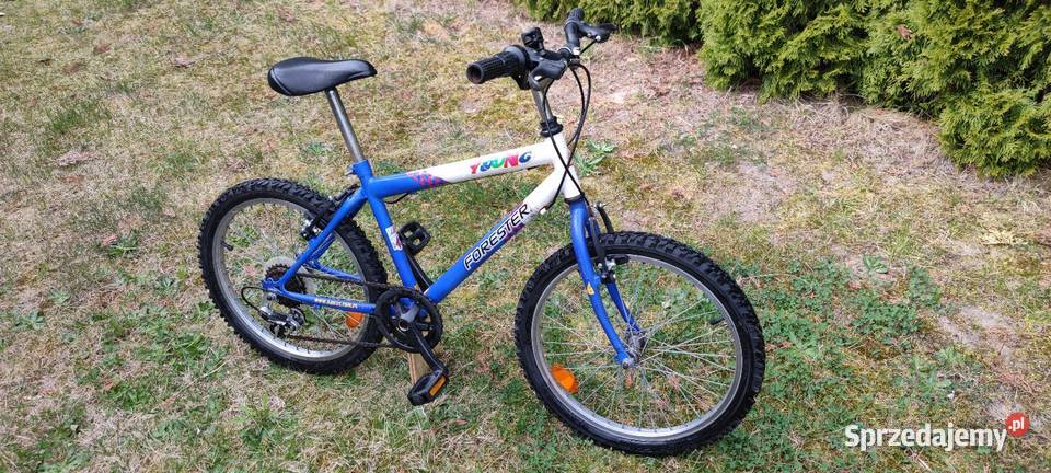 Rower dziecięcy 20 przerzutki zadbany serwis Wilczyn