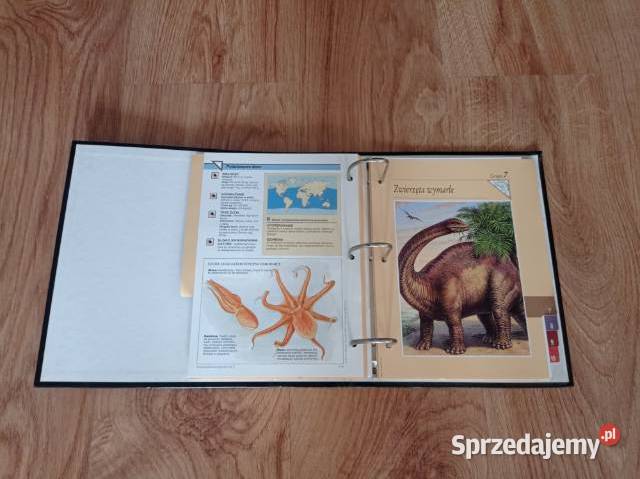 Encyklopedia zwierząt A do Z w segregatorze Chorzów