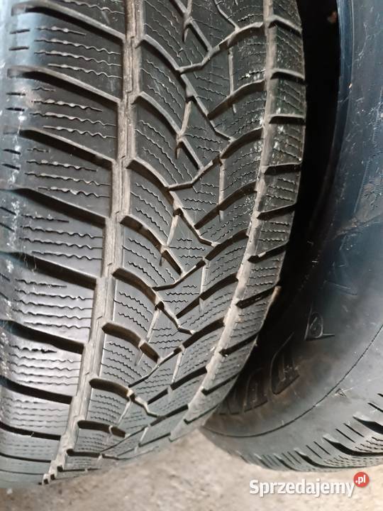 Opony zimowe Dunlop winter sport 5 2157016 Sędziszów Małopolski