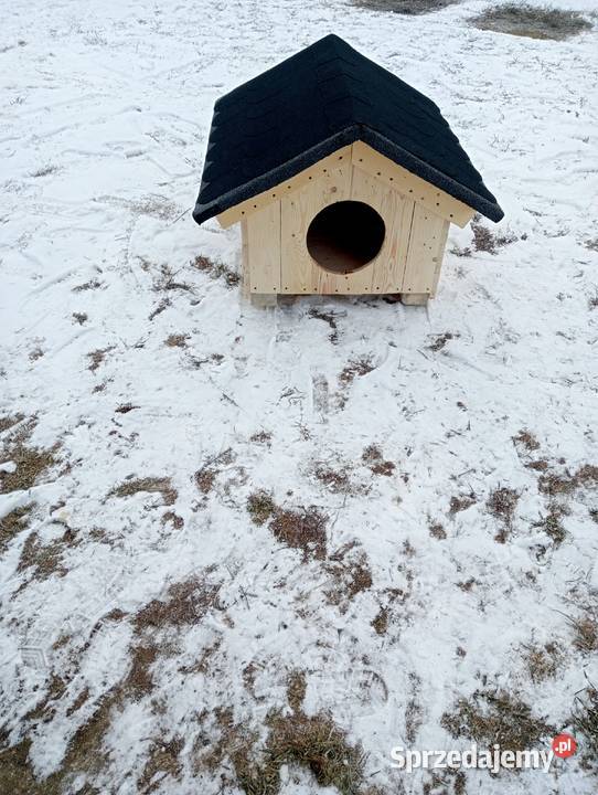 Buda psa legowisko Pionki