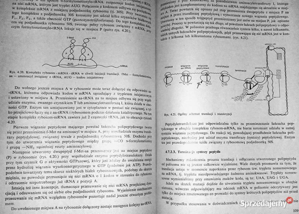 Biochemia biologów Jerzy Trojanowski twarda z obwolutą Książki i Podręczniki Chełm