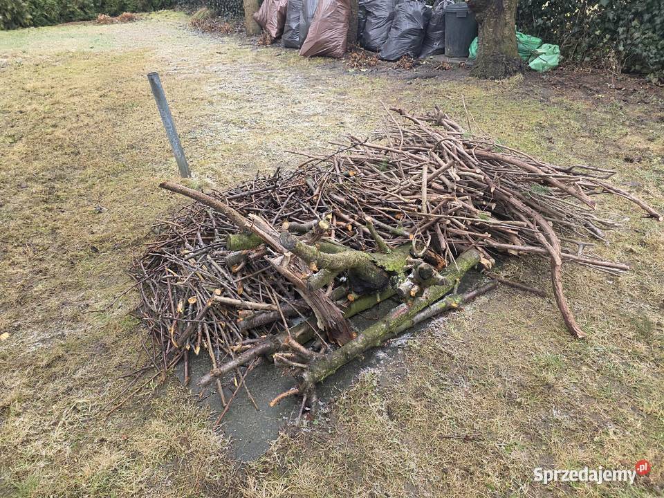 Drewno z czereśni dolnośląskie Trzebnica