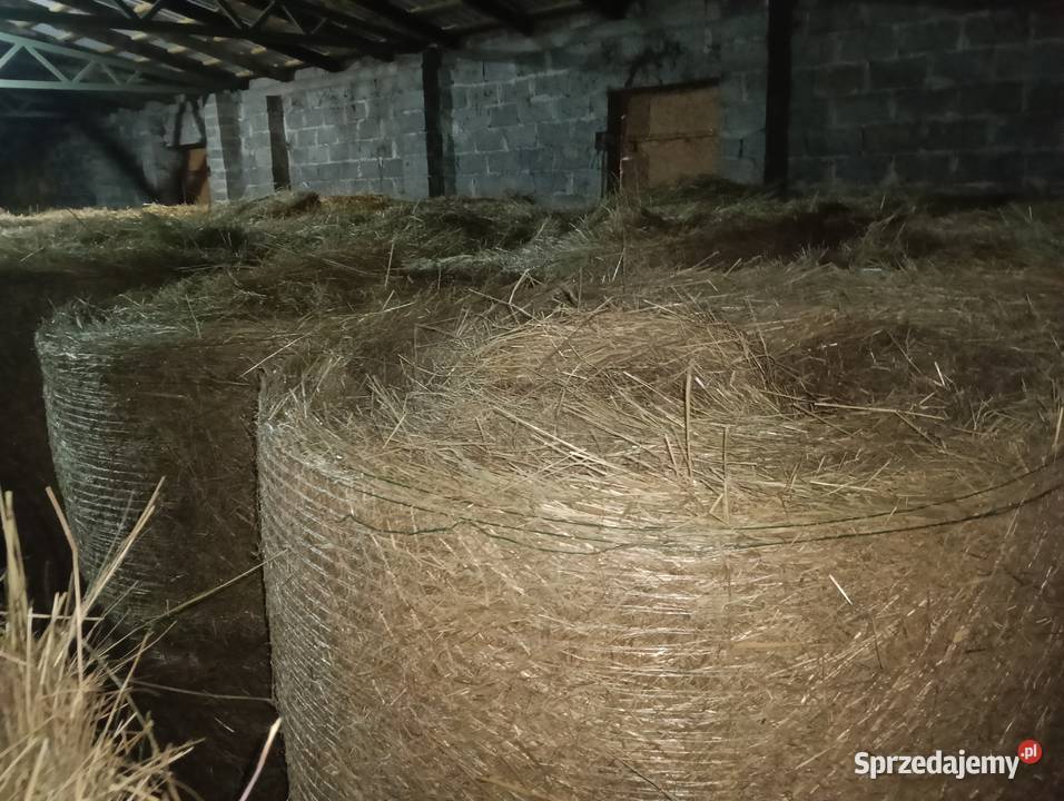 Siano słoma 125x120