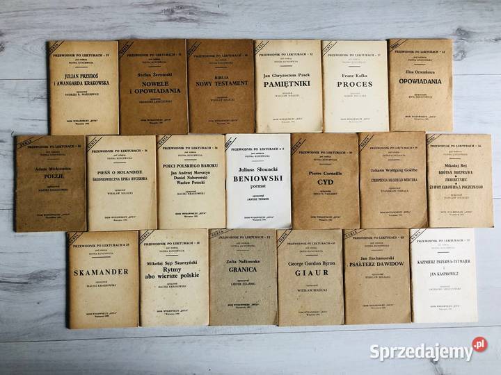 Eliza Orzeszkowa Opowiadania opracowanie Łódź sprzedam