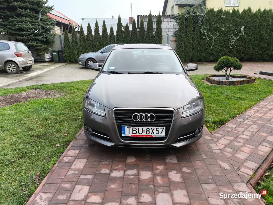 19 TDI 105 Diesel Nawigacja Klimatyzacja Pińczów