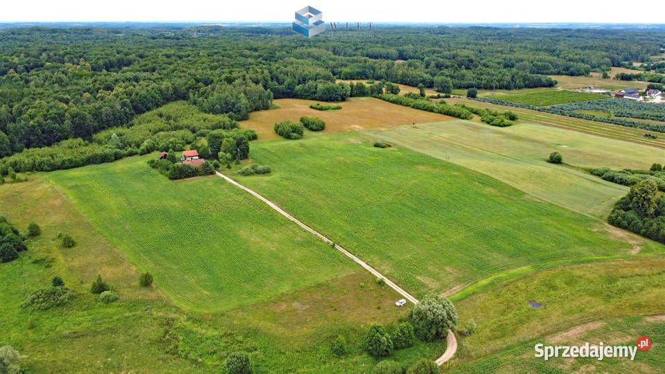 sprzedaży działki Łączno 1503m2