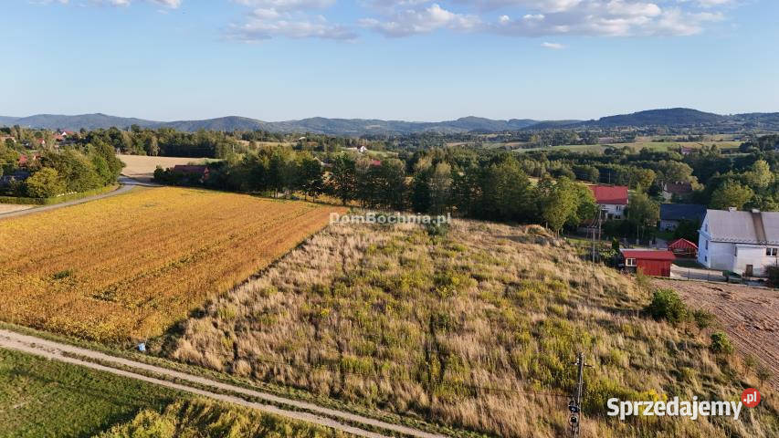 Ogłoszenie działka 1401m2 Tworkowa