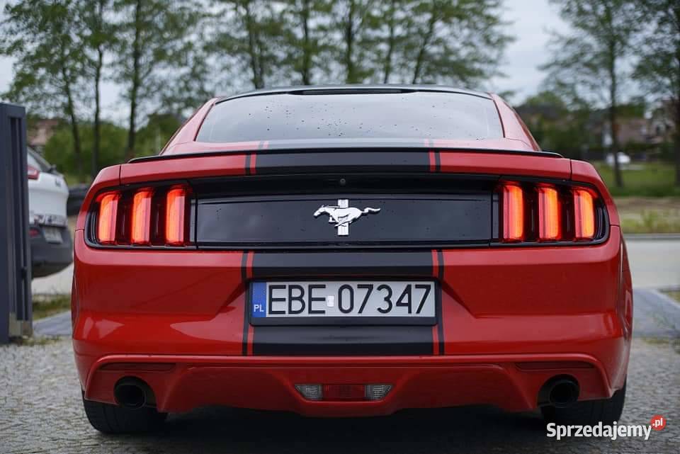 Mustang 37 V6 310 ESP
