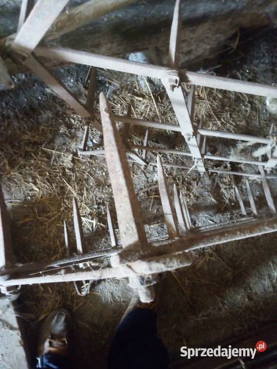 Sprzedam brony 3 sztuki Jarosław