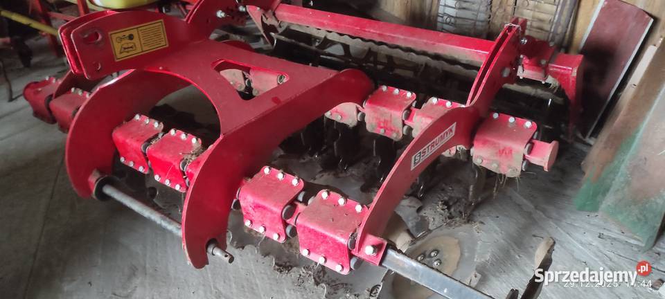 Brona talerzowa Tiger Junior małopolskie