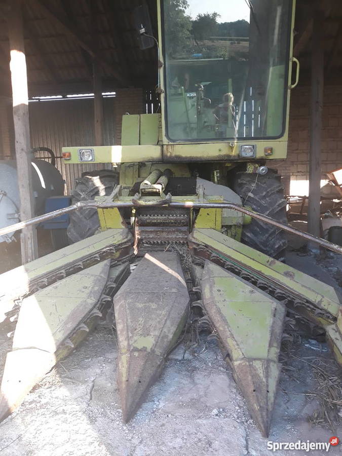 Sieczkarnia Class Jaguar 80SF z gniotownikiem nieuszkodzony sprzedam