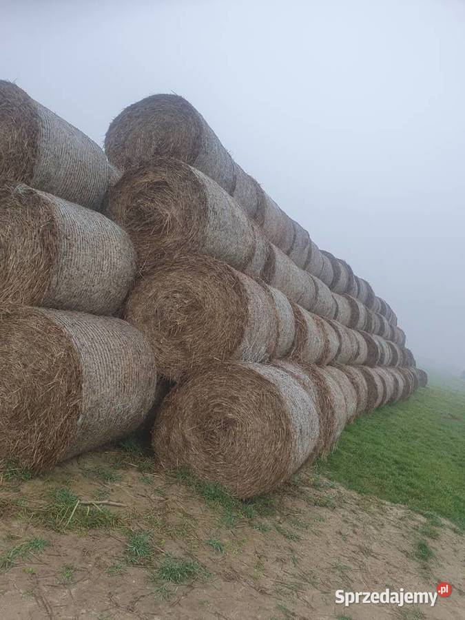 Słoma w kostkach w belach 130 Rozkopaczew