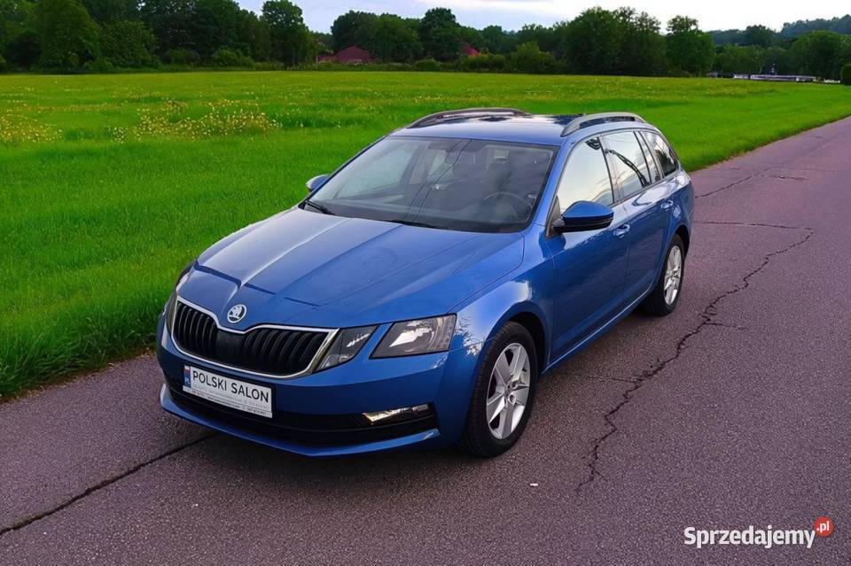 Polski Salon 1 właściciel Gwarancja Bezwypadkowy Bełk