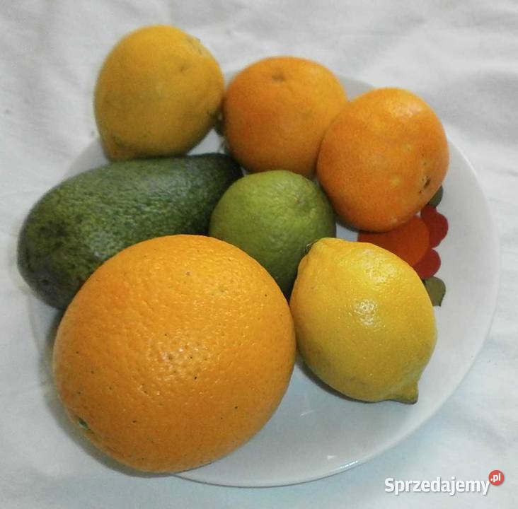 Piękne porcelanowe talerze firmy z Bavarii biały Kraków