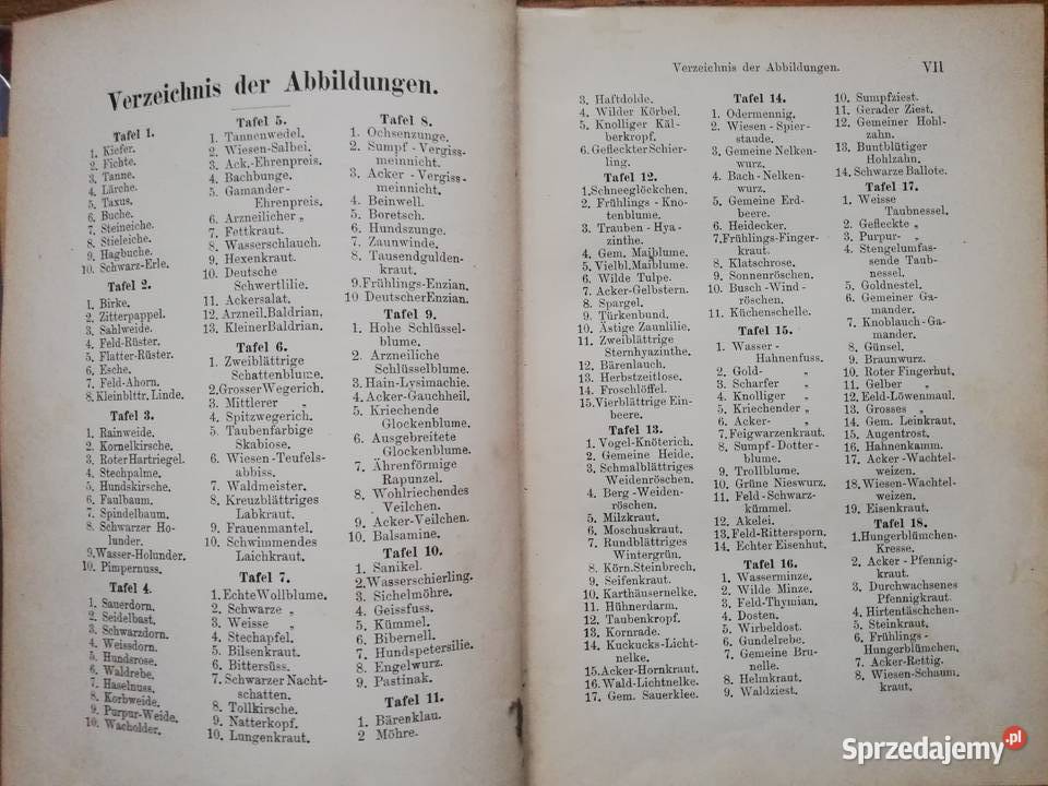 Der Pflanzenfreund Kraków