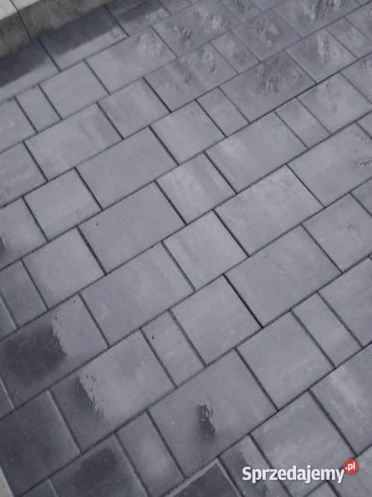 Brukarstwo układanie kostki brukowej brukarstwo Usługi Kamieńsk