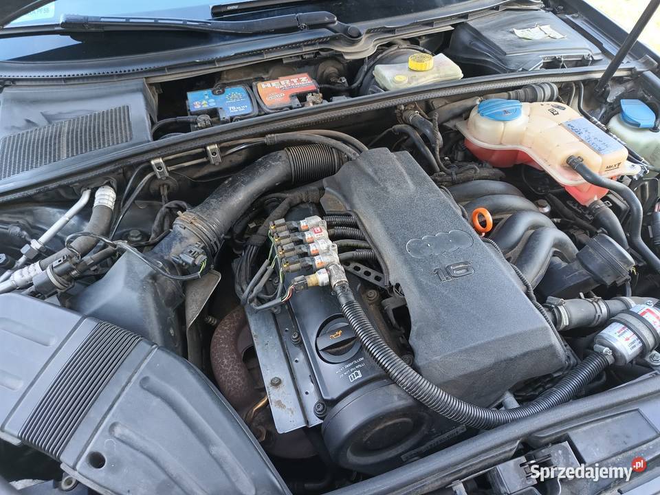 Audi A4B7 Włodzimierka