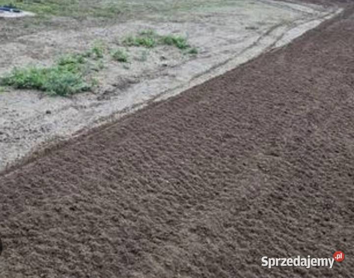 Glebogryzarka separacyjną usługa Tarnów ogród