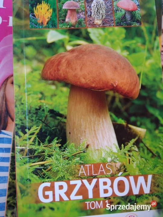 Atlas grzybów 1 pierwsze wydanie książki Rok wydania 2016 Warszawa