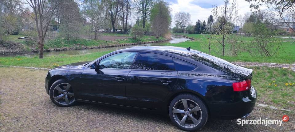 BLACK A5 SPORTBACK 20 TDI 190 BIXENON RADAR 2 Suchy Dąb