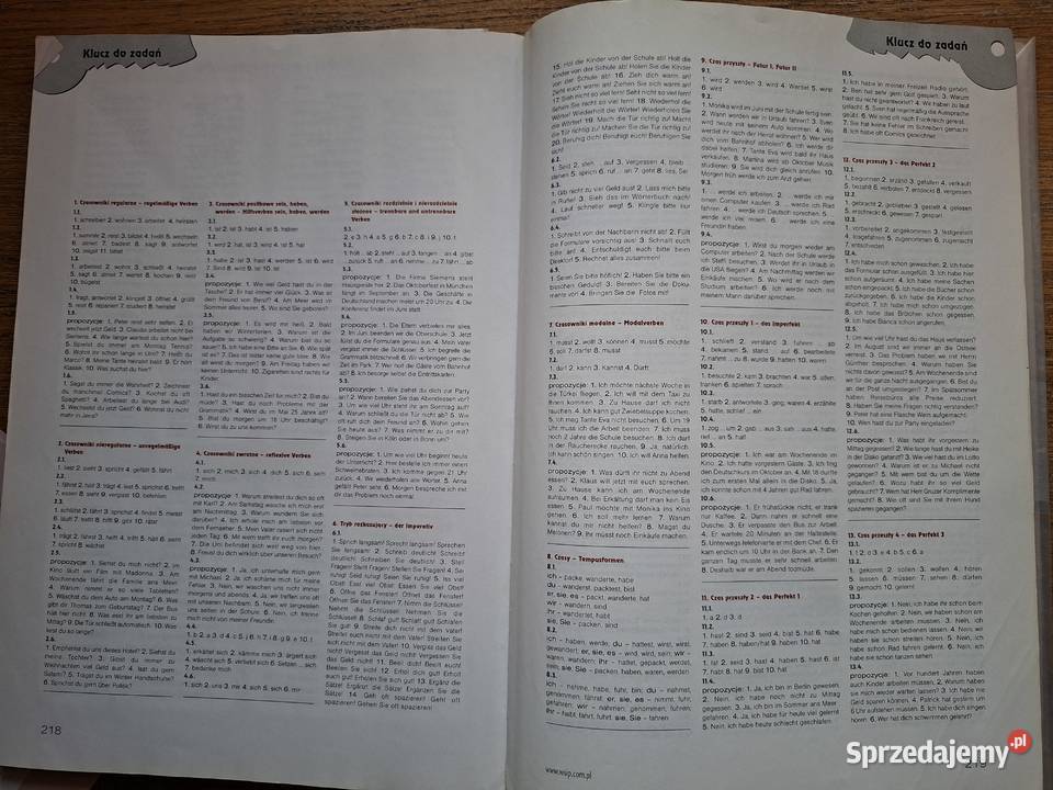 alles klar Grammatik tablice CD WSiP miękka Kraków