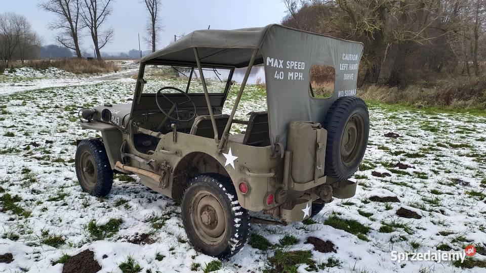 Willys MB Jeep zabytek Trzebiatów sprzedam