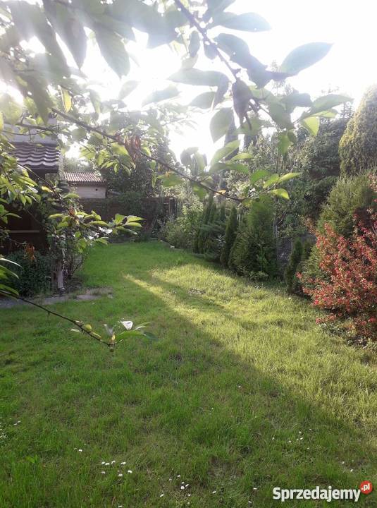 Działka rekreacyjna Dąbrowa Górnicza