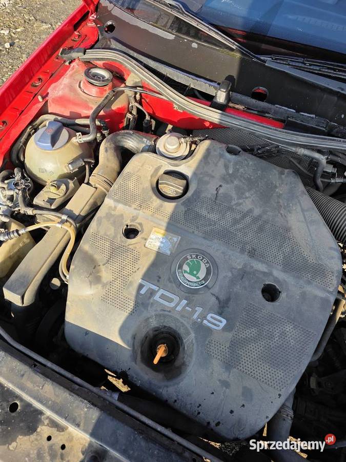 Skoda octavia Bukowice