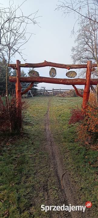 Bele wejściebelki Jarosław sprzedam