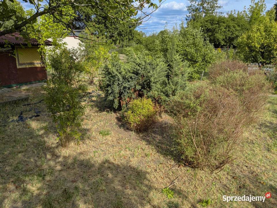 Działka ROD Rekreacyjna Malinka 1 utwardzona Radom sprzedam